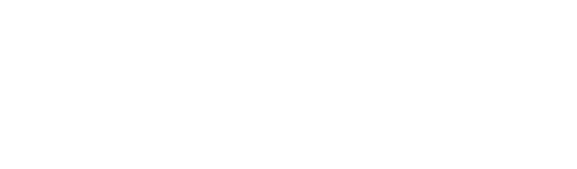 mls logo